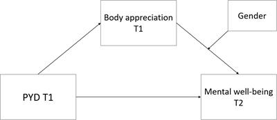 Positive Youth Development and Mental Well-Being in Late Adolescence: The Role of Body Appreciation. Findings From a Prospective Study in Norway